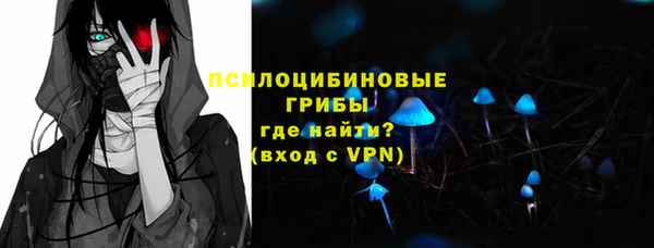 экстази Няндома