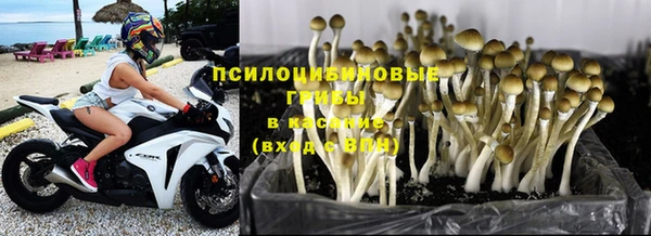 синтетический гашиш Нязепетровск